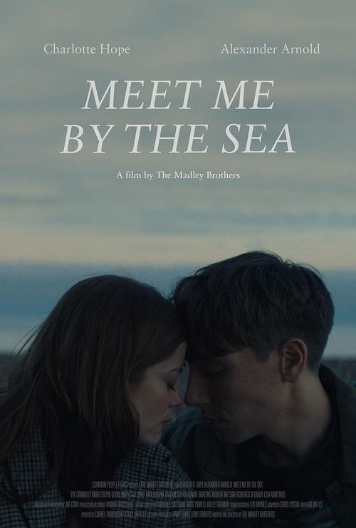 Meet Me by the Sea (2024) poster