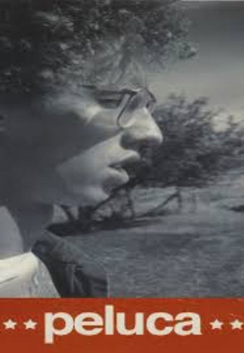Peluca (2003) poster