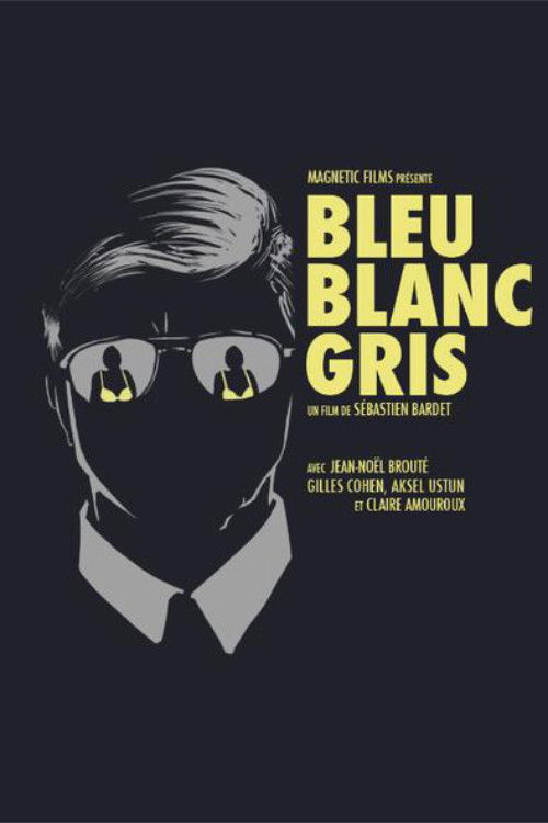Bleu Blanc Gris (2014) poster