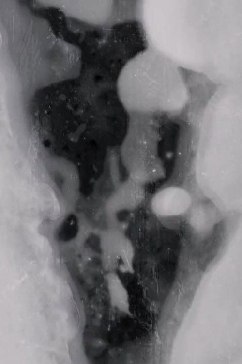 Dandelion (2018) poster