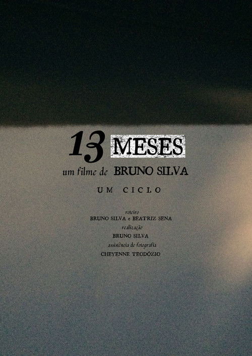 13 MESES (2021) poster