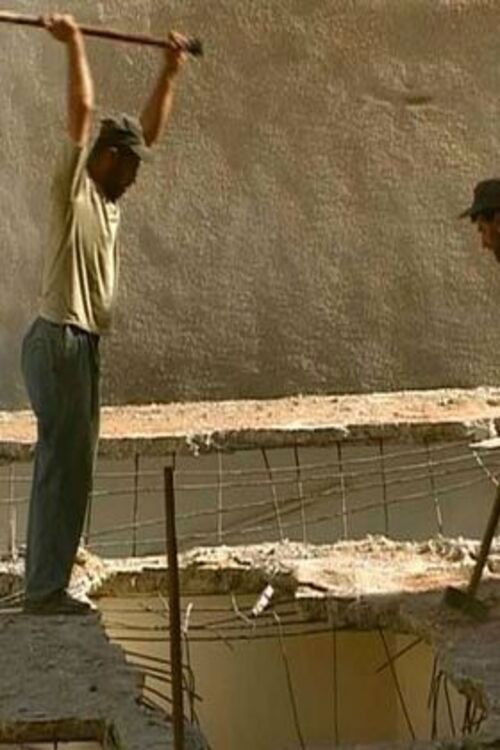 Tweety Lovely Superstar (2006) poster