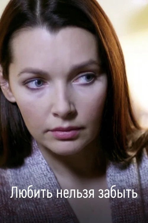 Don’t Forget Love (2013) poster