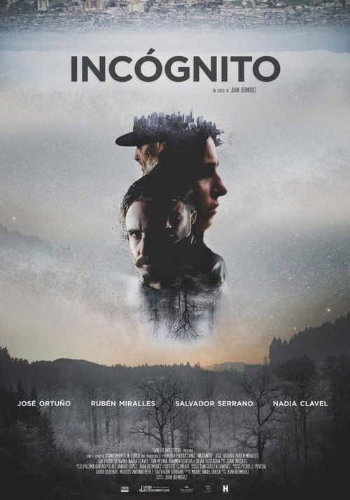 Incógnito (2019) poster