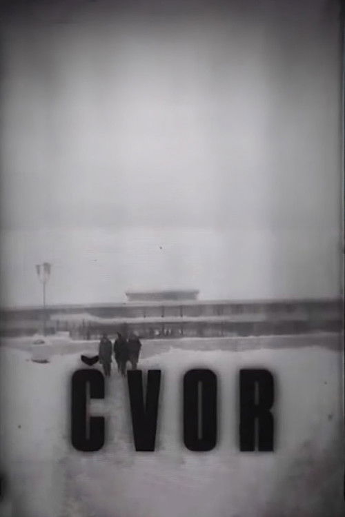 Čvor (1969) poster