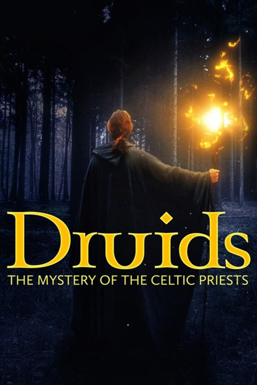 Druids: The Mystery of Celtic Priests (2021) poster