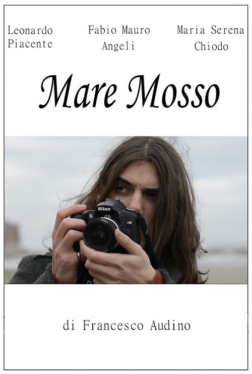 Mare mosso (2017) poster