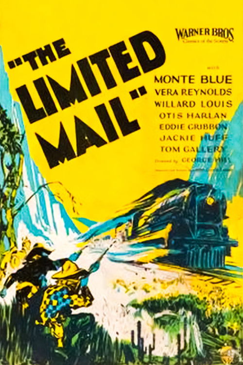 The Limited Mail (1925) poster