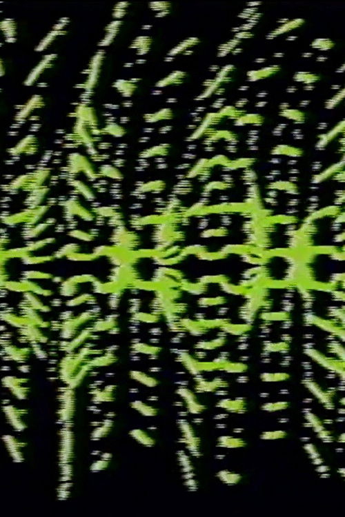 Modulated Horizontal Lines (1976) poster