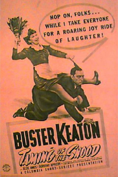 The Taming of the Snood (1940) poster