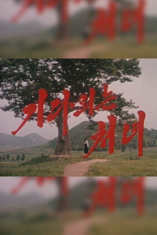 The Long Awaited Girl (2001) poster