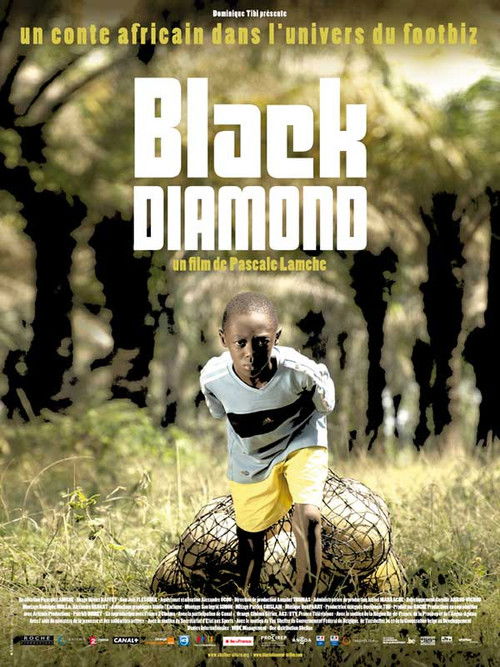 Black Diamond (2010) poster