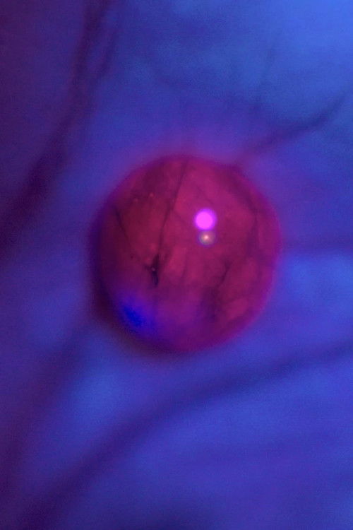 Idak-Idak-Idak (2025) poster