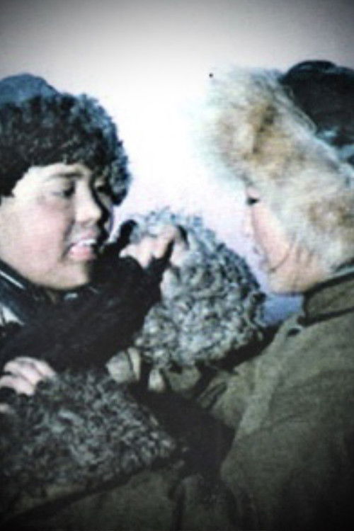 An Unfortunate Fortune (1992) poster