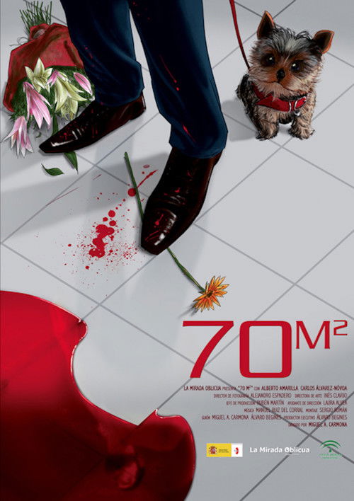70m2 (2010) poster
