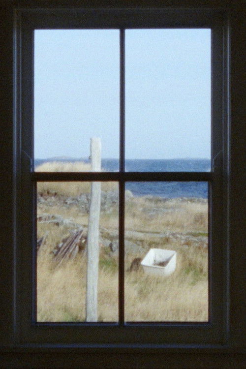 Becoming Landscape (2024) poster