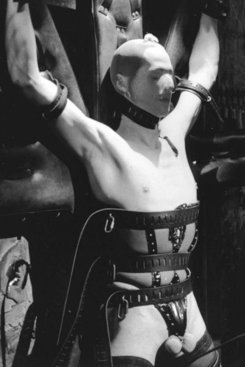 Tops & Bottoms (1999) poster