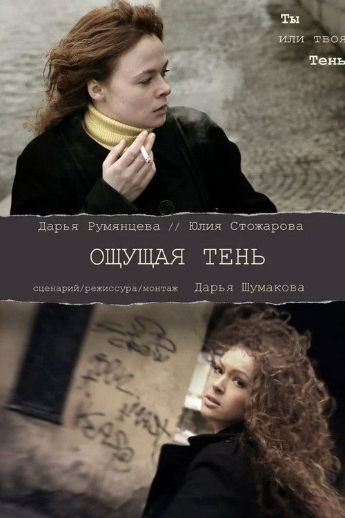 Feeling the Shadow (2011) poster