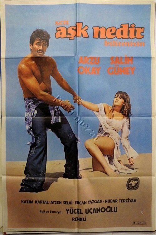 Sen Aşk Nedir Bilir Misin (1977) poster