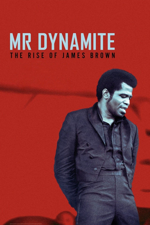 Mr. Dynamite: The Rise of James Brown (2014) poster