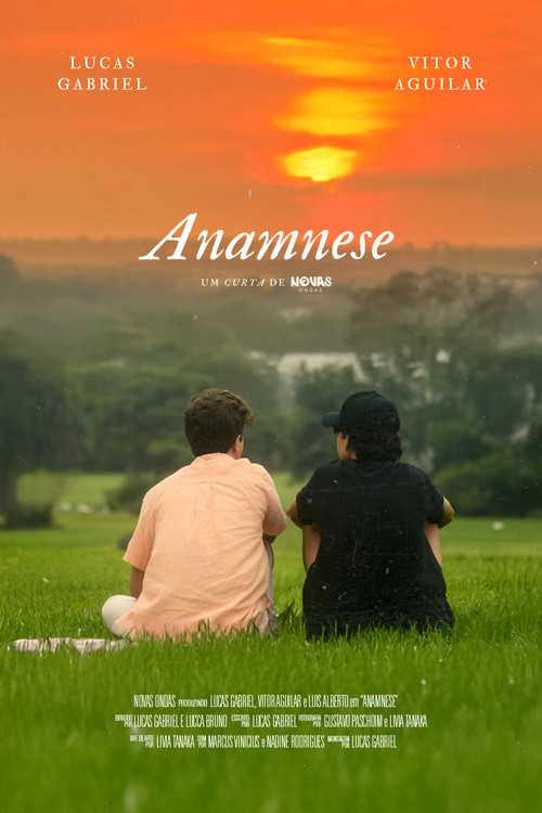 Anamnese (2025) poster