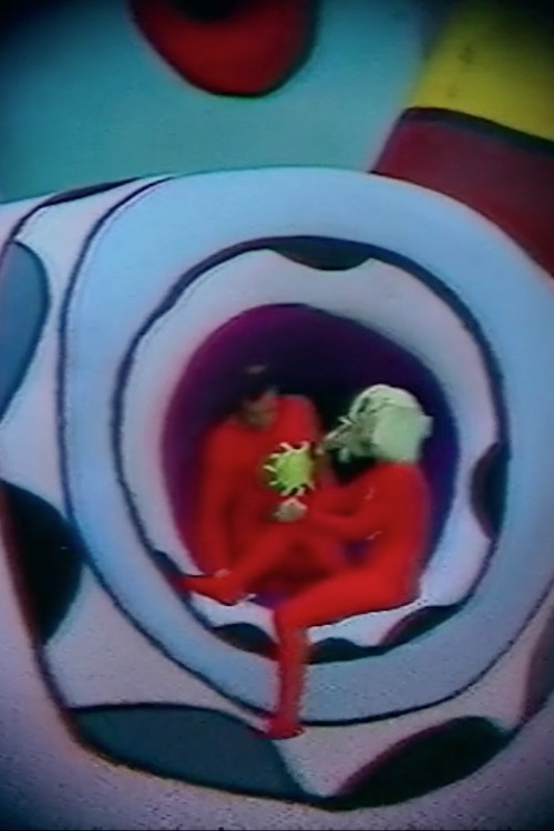 The Travelling Companion (1977) poster