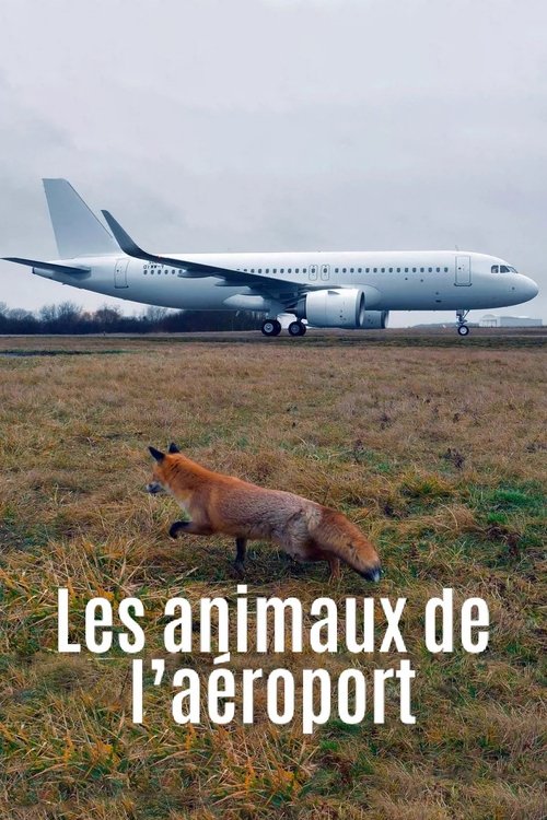 Airport Animal Stories (2023) poster