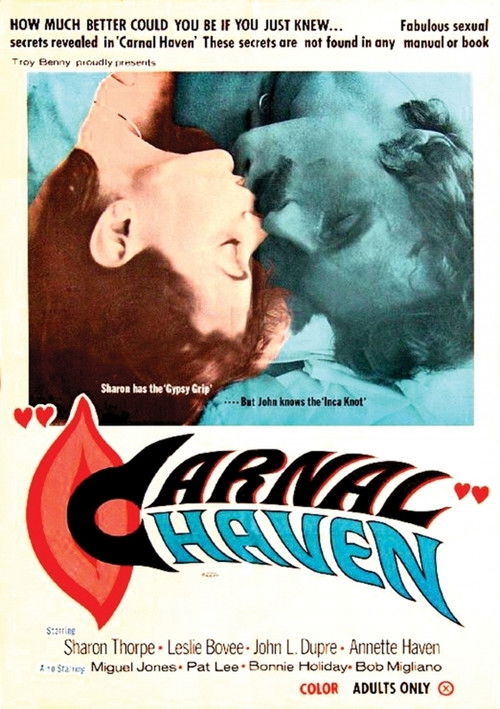 Carnal Haven (1978) poster