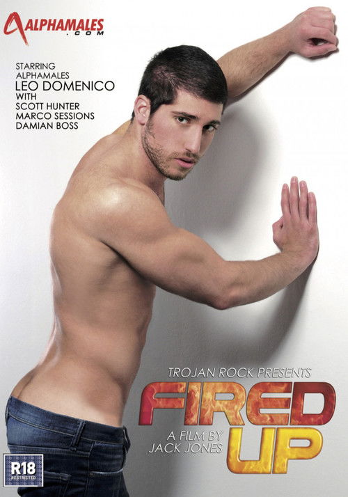 Fired Up (2013) poster
