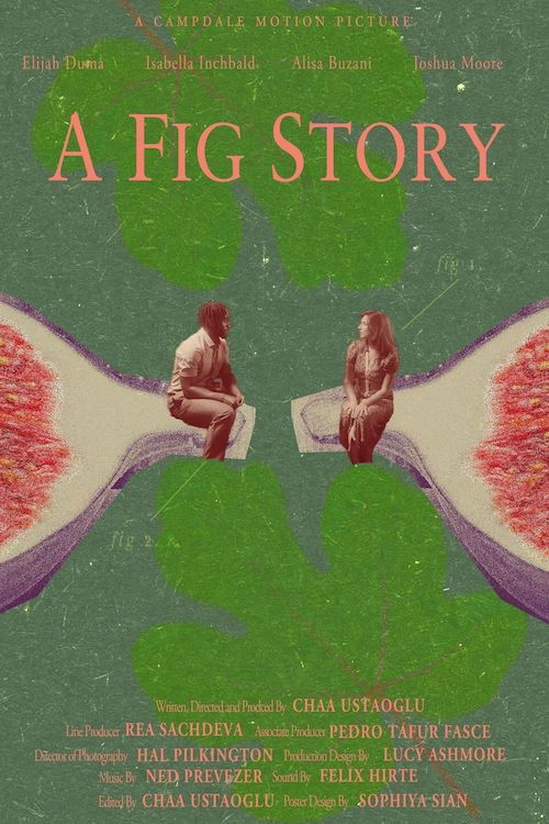A Fig Story (2024) poster