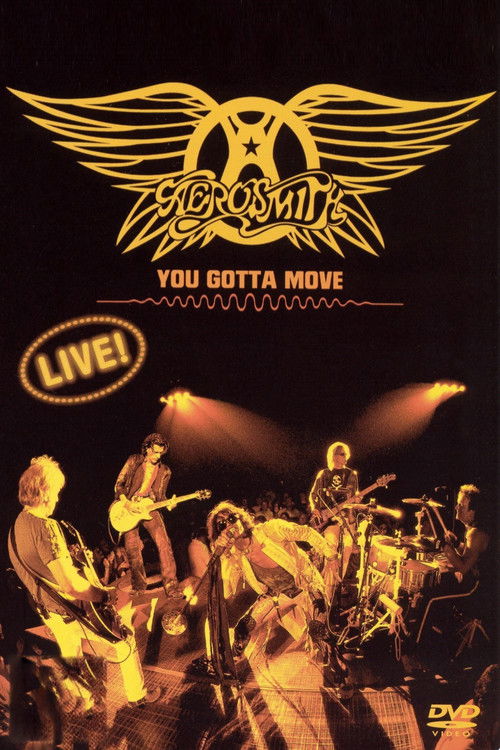 Aerosmith - You Gotta Move (2004) poster