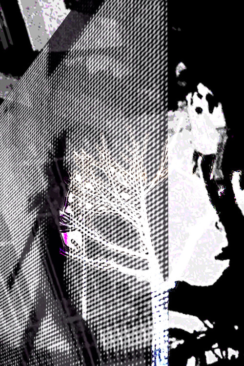 Registros da Tarde poster