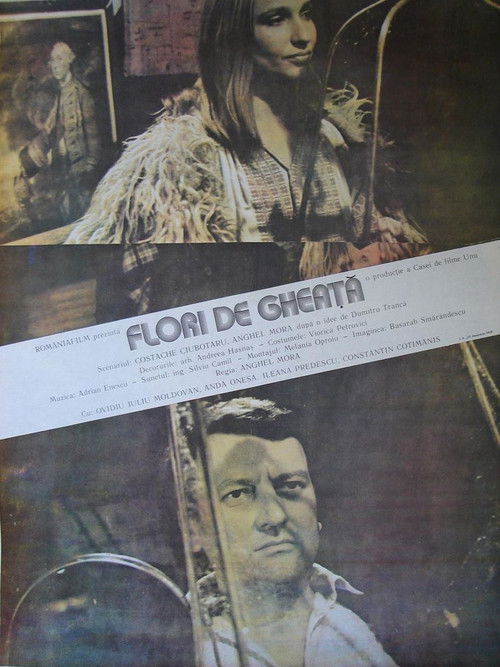 Flori de gheață (1989) poster
