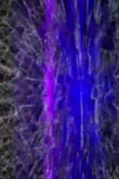 Altaïr Akerman (2017) poster