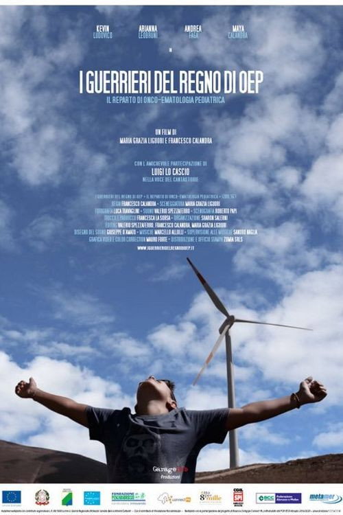 I Guerrieri del Regno di OEP (2019) poster