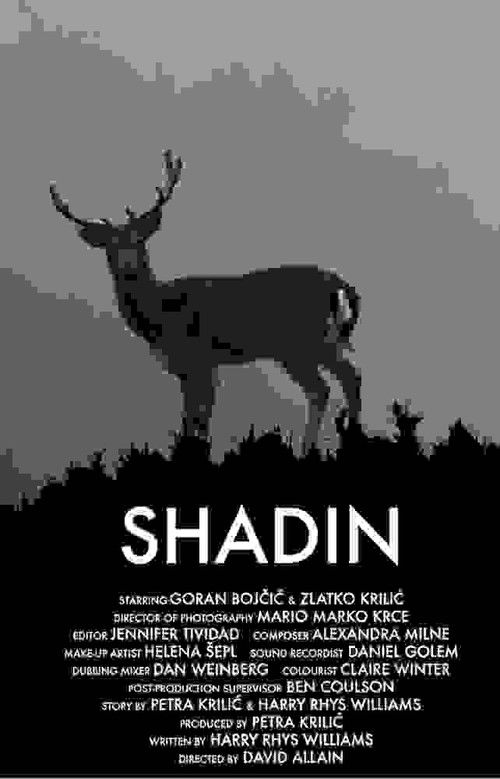 Shadin (2018) poster
