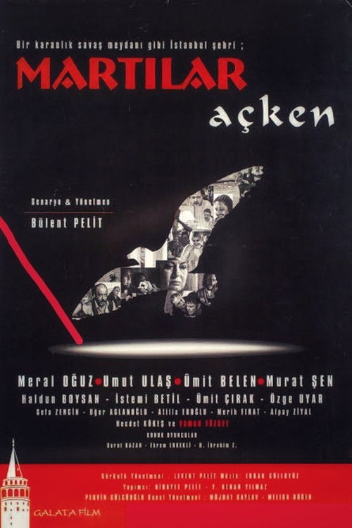 Martılar Açken (2003) poster