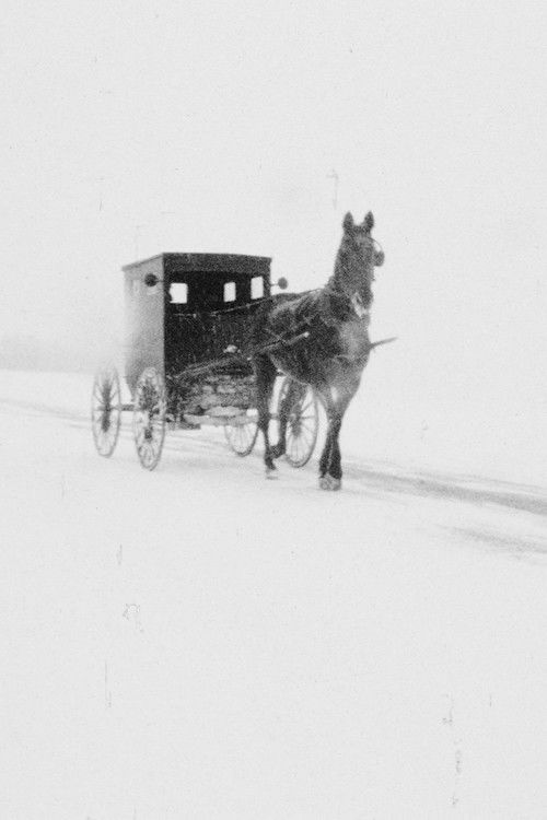 Hawkesville to Wallenstein (1976) poster