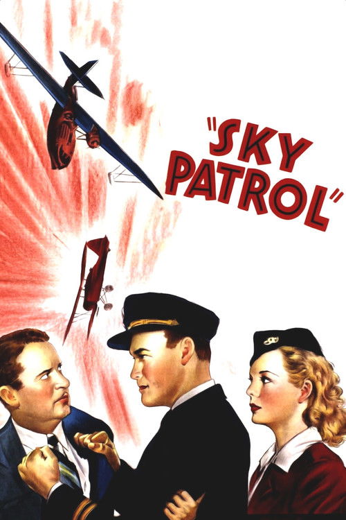 Sky Patrol (1939) poster
