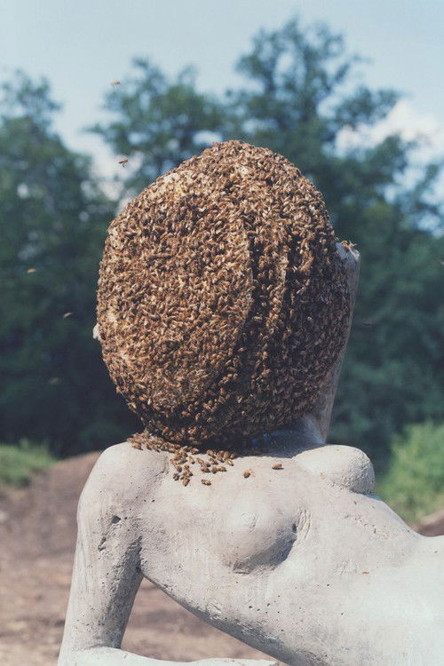 A Way in Untilled (2013) poster