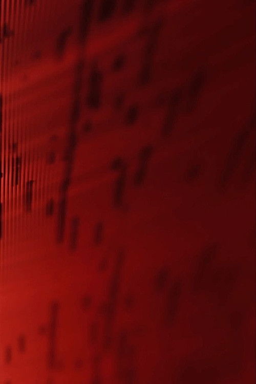 Fieldnotes From A Mine (2012) poster