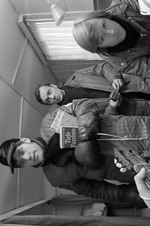 Alarm am See (1973) poster