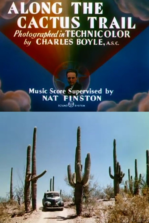 Along the Cactus Trail (1944) poster