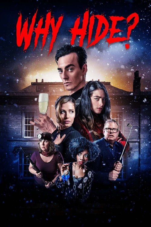 Why Hide? (2018) poster