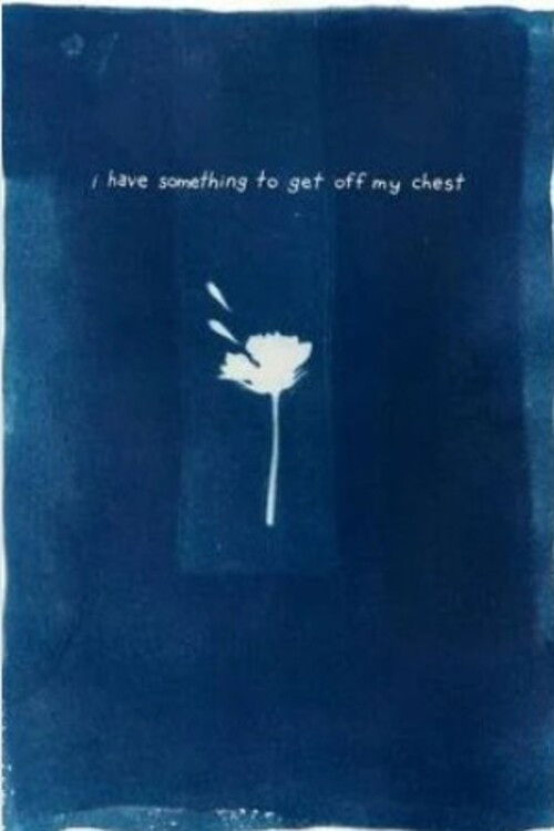 I Have Something To Get Off My Chest (2024) poster