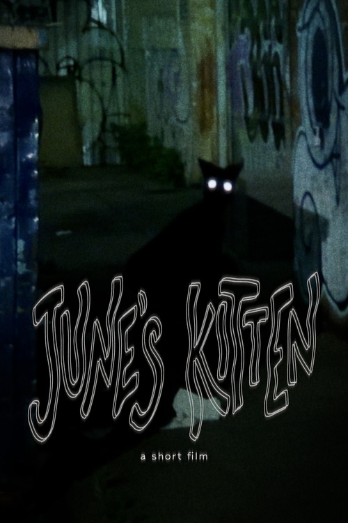 June's Kitten (2024) poster