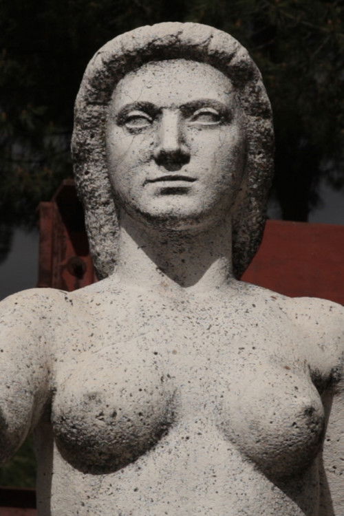 La espada me la ha regalado (2020) poster