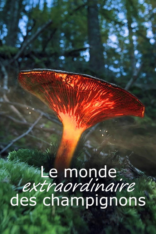 Le monde extraordinaire des champignons (2023) poster