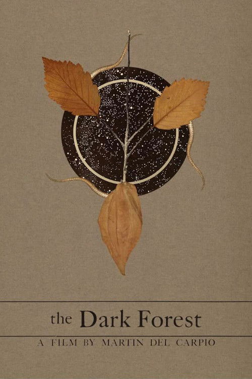 The Dark Forest (2021) poster