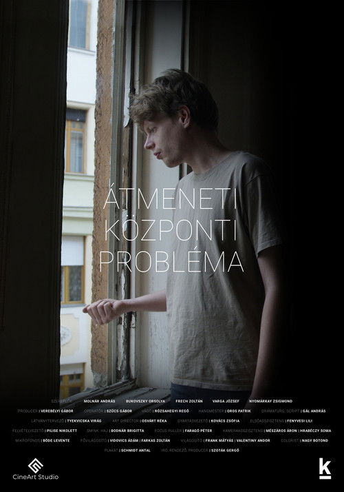 Temporary Central Problem (2025) poster